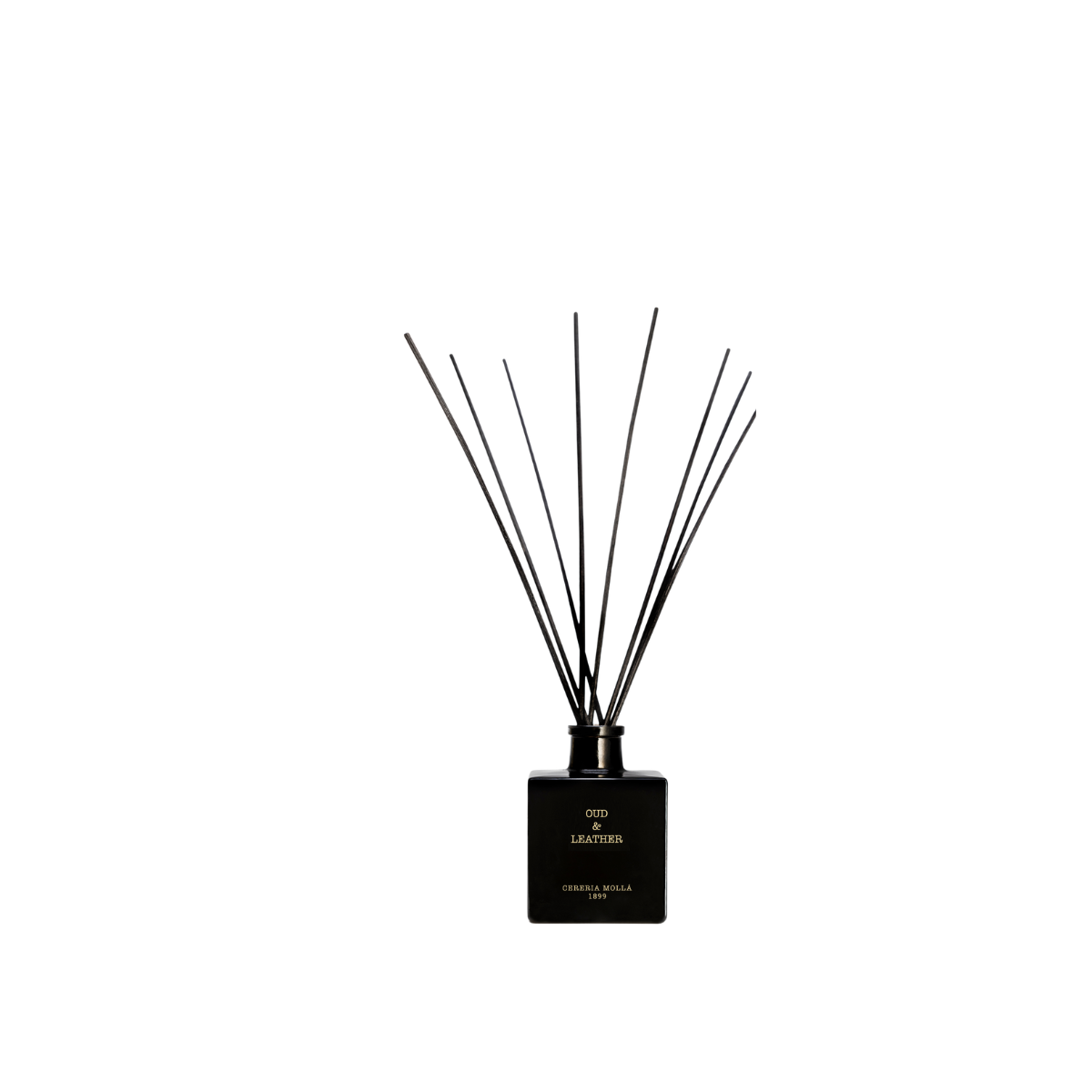 Mikado 100ml Oud & Leather